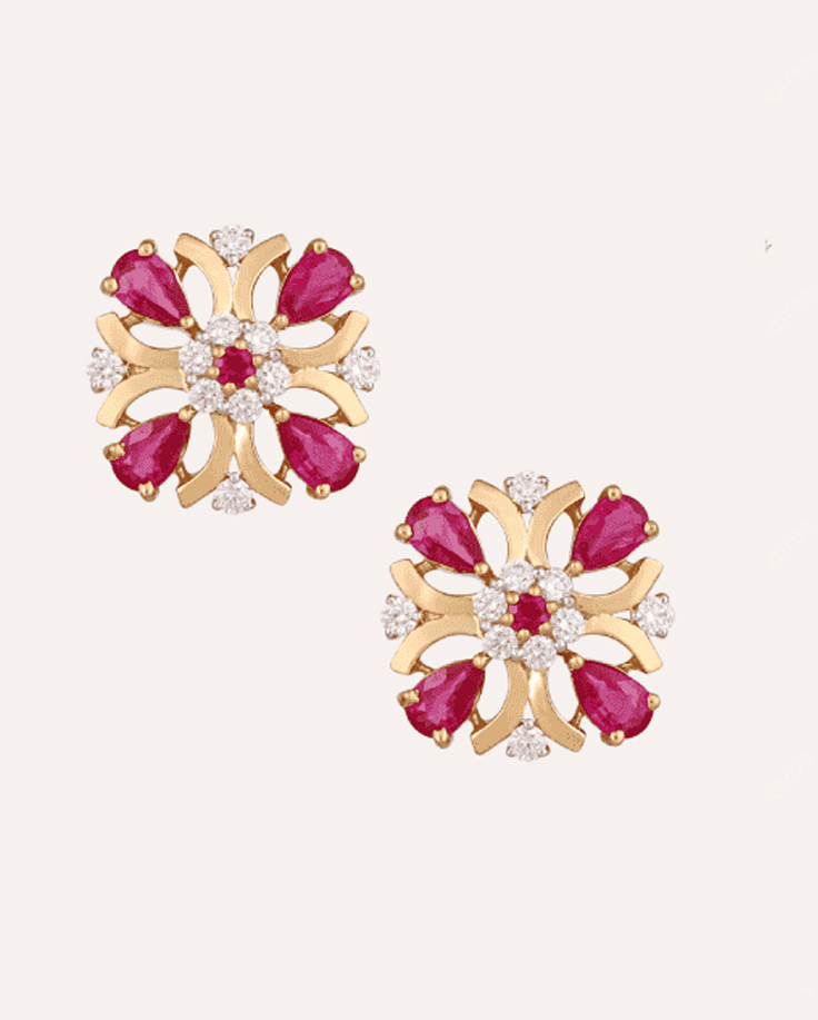 collection-6